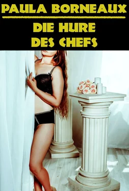 Paula Borneaux Die Hure des Chefs обложка книги