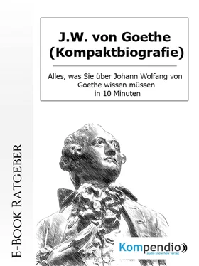 Daniela Nelz J.W. von Goethe (Kompaktbiografie) обложка книги