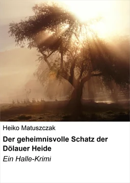 Heiko Matuszczak Der geheimnisvolle Schatz der Dölauer Heide обложка книги