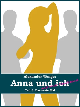 Alexander Wenger Anna und ich und unser Hausfreund (Teil 3) обложка книги