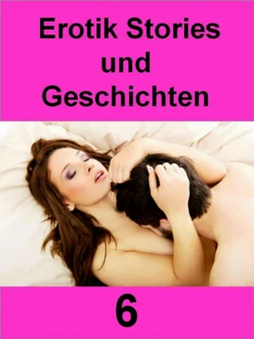 Anita Bergler Erotik Stories und Geschichten 6 - 602 Seiten обложка книги