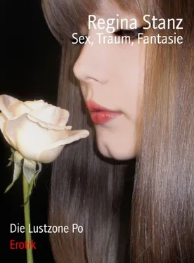 Regina Stanz Sex, Traum, Fantasie обложка книги