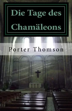 Porter Thomson Die Tage des Chamäleons обложка книги