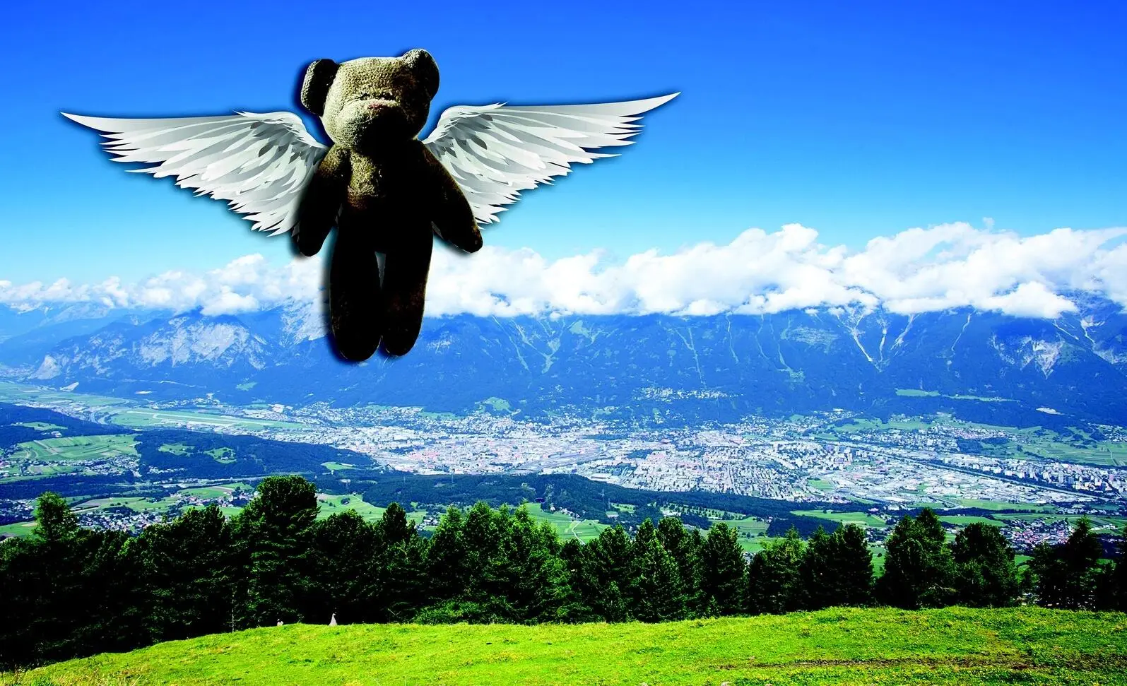 Wie es wohl wäre wenn Teddybären auch Flügel wie Engel hätten Das wäre - фото 3
