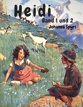 Johanna Louise Spyri Heidi - Band 1 und 2 обложка книги