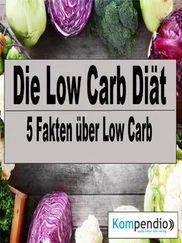 Alessandro Dallmann - Die Low Carb Diät