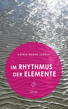 Katrin Maren Schulz Im Rhythmus der Elemente обложка книги