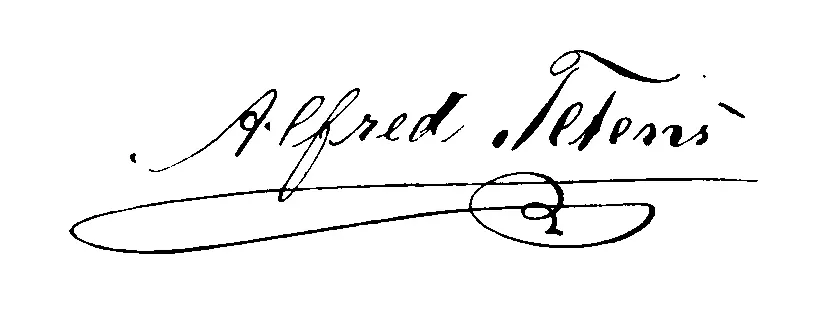 Alfred Tetens am 1 Juli 1835 in Wilster als Sprössling Nummer Sieben eines in - фото 6