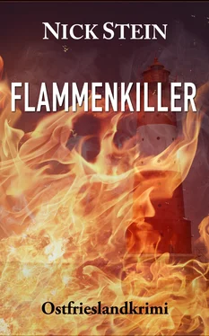 Nick Stein Flammenkiller обложка книги