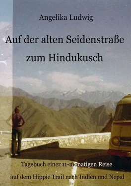 Angelika Ludwig Auf der alten Seidenstraße zum Hindukusch обложка книги