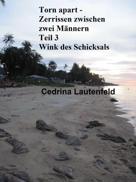 Cedrina Lautenfeld Torn apart - Zerrissen zwischen zwei Männern обложка книги