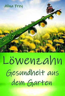 Alina Frey Löwenzahn обложка книги