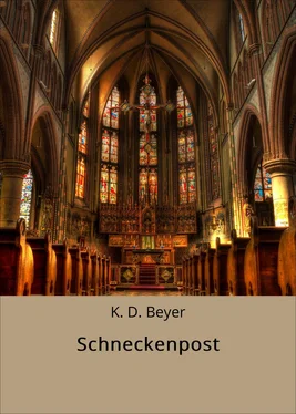 K. D. Beyer Schneckenpost обложка книги