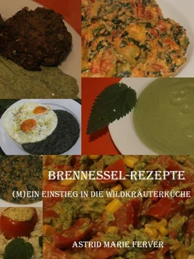 Astrid Marie Ferver Brennessel-Rezepte обложка книги