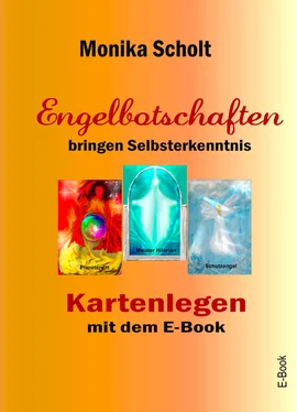 Monika Scholt Engelbotschaften bringen Selbsterkenntnis обложка книги