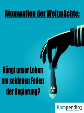 Alessandro Dallmann Atomwaffen der Weltmächte: обложка книги