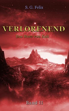 S. G. Felix Verlorenend Band II обложка книги