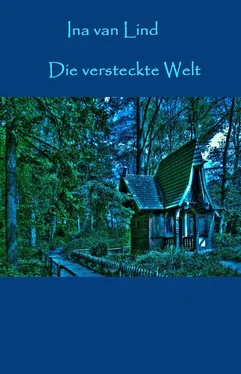 Ina van Lind Die versteckte Welt обложка книги