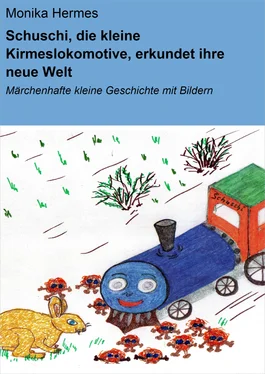 Monika Hermes Schuschi, die kleine Kirmeslokomotive, erkundet ihre neue Welt обложка книги