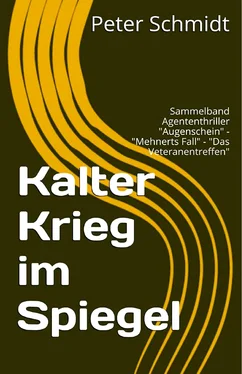Peter Schmidt Kalter Krieg im Spiegel обложка книги