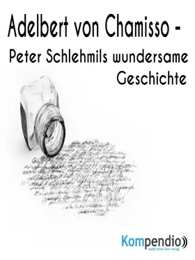 Alessandro Dallmann Peter Schlehmils wundersame Geschichte von Adelbert von Chamisso обложка книги