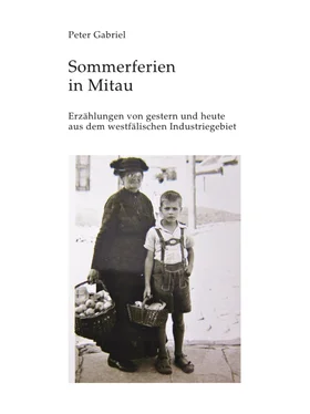 Peter Gabriel Sommerferien in Mitau обложка книги