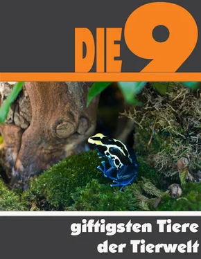 A.D. Astinus Die neun giftigsten Tiere der Tierwelt обложка книги