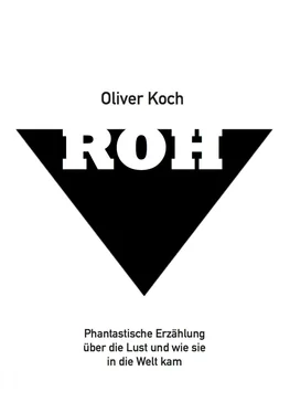 Oliver Koch Roh обложка книги