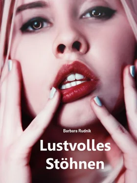Barbara Rudnik Lustvolles Stöhnen обложка книги