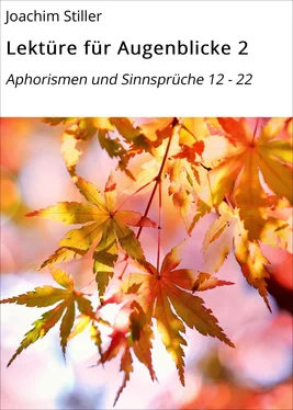 Joachim Stiller Lektüre für Augenblicke 2 обложка книги