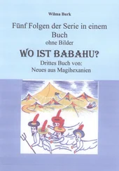 Wilma Burk - Wo ist Babahu - 5 Folgen in einem Buch - ohne Bilder