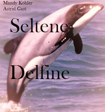 Mandy Köhler Seltene Delfinee обложка книги