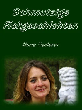 Ilona Haderer Schmutzige Fickgeschichten обложка книги