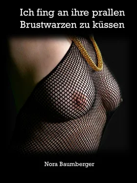 Nora Baumberger Ich fing an ihre prallen Brustwarzen zu küssen обложка книги