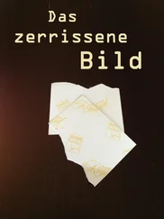Sharon Lee - Das zerrissene Bild
