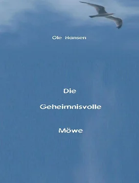 Ole Hansen Die Geheimnisvolle Möwe обложка книги