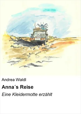Andrea Waldl Anna´s Reise обложка книги