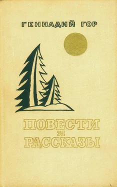 Геннадий Гор Повести и рассказы (сборник) обложка книги