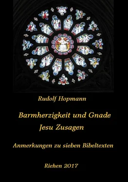 Rudolf Hopmann Barmherzigkeit und Gnade - Jesu Versprechen обложка книги