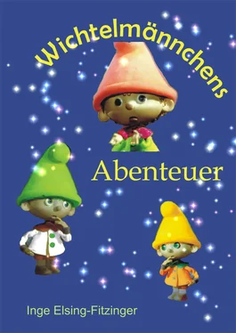 Inge Elsing-Fitzinger Wichtelmännchens Abenteuer обложка книги