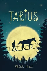 Patrick Fiedel - Tarius