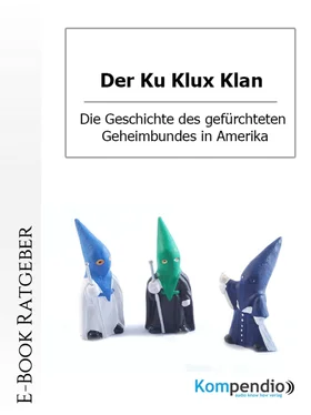 Daniela Nelz Der Ku Klux Klan обложка книги