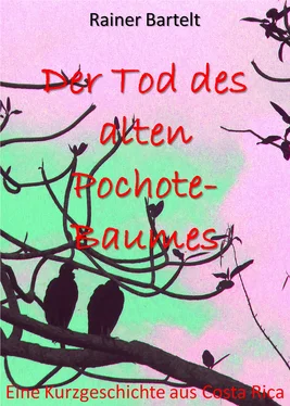 Rainer Bartelt Der Tod des alten Pochote-Baumes обложка книги