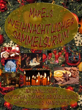 Mar El MarEl's weihnachtliches Sammelsurium обложка книги