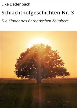 Elke Dedenbach Schlachthofgeschichten Nr. 3 обложка книги