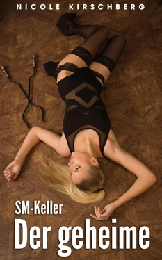 Nicole Kirschberg Der geheime SM-Keller обложка книги