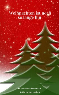 Anita Jurow-Janßen Weihnachten ist noch so lange hin обложка книги
