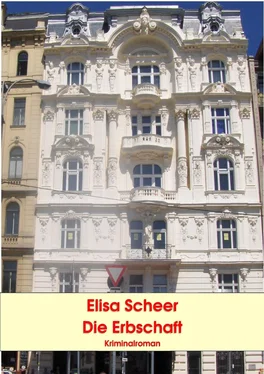 Elisa Scheer Die Erbschaft обложка книги
