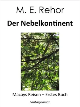 Manfred Rehor Der Nebelkontinent обложка книги