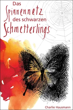 Charlie Hausmann Das Spinnennetz des Schwarzen Schmetterlings обложка книги